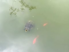-杭州西湖风景名胜区-三生石
