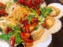 油泼红油扇贝-鲁前海沿儿