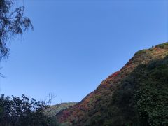 -抱龙峪