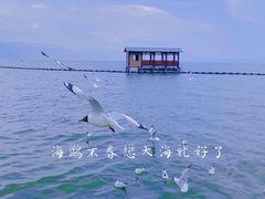-大理洱海