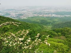 -紫金山山顶公园
