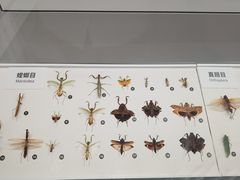 -四川大学博物馆