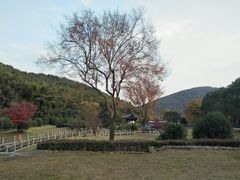 -孙武文化园-停车场