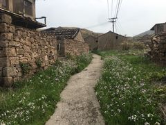 -东极岛景区-青浜岛