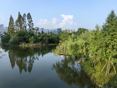 -江心屿景区