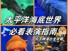 -太平洋海底世界