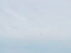 -青岛第三海水浴场