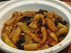 -金石滩绿发温泉假日酒店-海洋之星餐厅