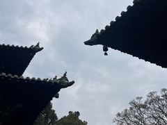 -报恩寺(平武县)