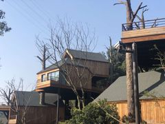 -杭州开元森泊度假乐园