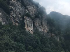 -牛背梁国家森林公园