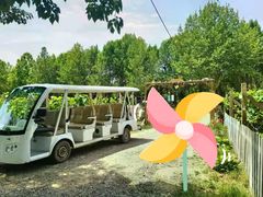 -安德鲁户外烧烤帐篷营地(马泉营店)