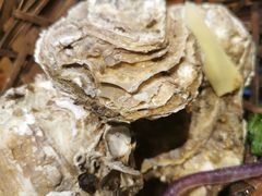 -蚝堡海鲜·威海菜·海肠捞饭·烧烤·亚洲吃蚝公司(幸福门店)