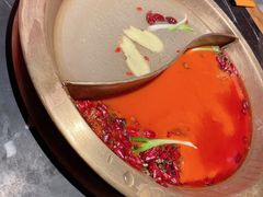-杨家火锅(国美店)