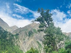 -米堆冰川