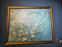 -上海梵高星空艺术馆(南京路旗舰店)