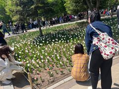 -长春公园(普阳街道)