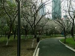 -喷泉公园
