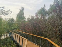 -东郊湿地公园