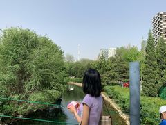 -长白岛森林公园