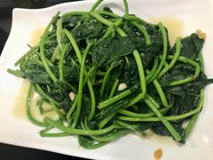酱炒地瓜叶-潮州菜馆(十里河店)