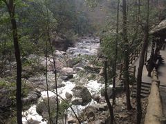 -花岩国家森林公园