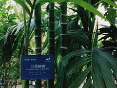 -南山植物园