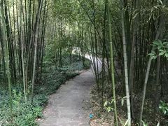 -菊花台公园