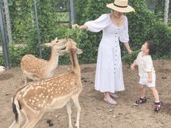 -北京麋鹿生态实验中心