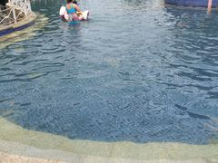 -盛泰恐龙谷温泉