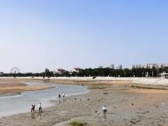 -渡海小渔村.老辈日照菜