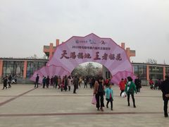 -天王浮山樱花园