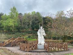 -天台国家森林公园水上茶乡九鹏溪