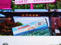 -泗洪洪泽湖湿地景区