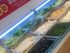 -成老灶火锅鸡(平山店)