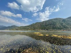 -腾冲北海湿地