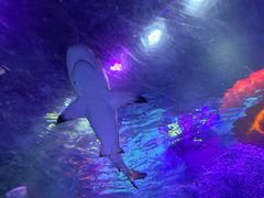 -沈阳海洋探索中心