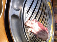 -金顺韩式烤肉·网红烤肉店(广利路店)