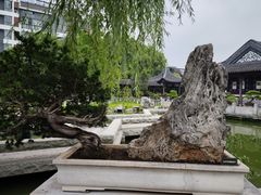 -泰州凤城河风景区-泰山公园