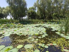 -长春北湖公园
