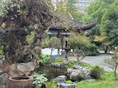 -日出青木