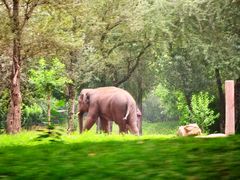 -北京野生动物园
