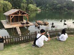 一对拍照的情侣-南京银杏湖乐园