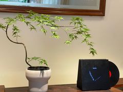 -漫笙舍Manse·咖啡·民宿