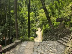 -莫干山风景区