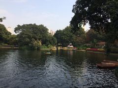 -晓港公园