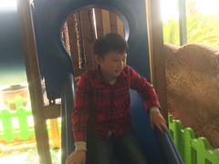 -宁波九龙湖开元度假村