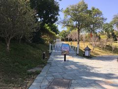 -森波拉火山温泉