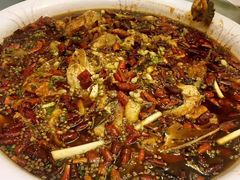 来凤鱼-西木兔(大圆祥店)