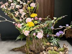 -隅焰·三生三味·手作川菜(金沙天街店)